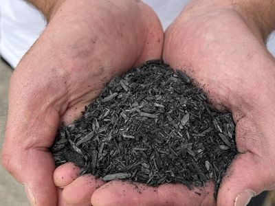 Biochar for garden, lawn, tree, shrub, and saving water. Increase plant survival. Make better compost.