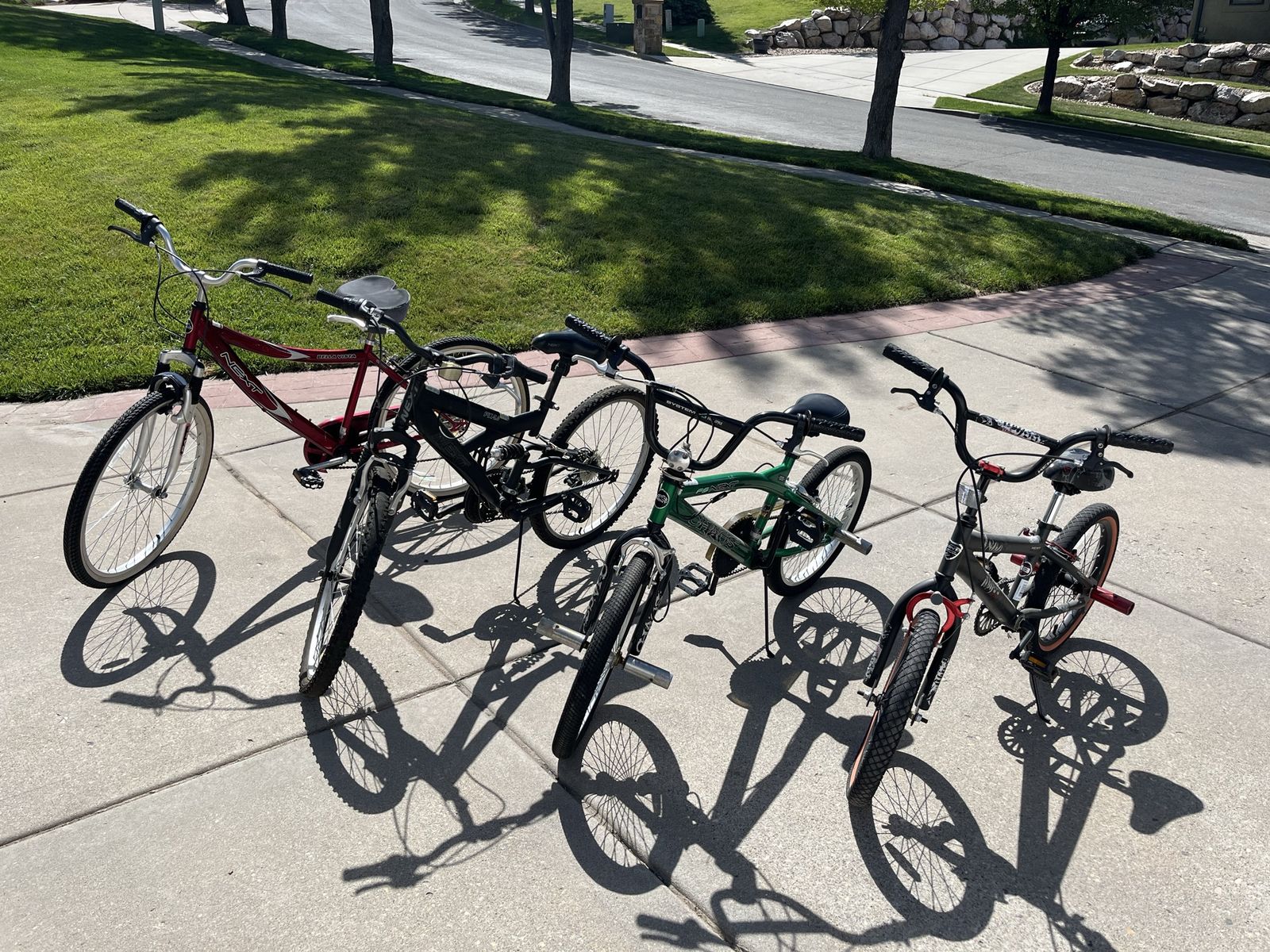 Kid & Adult Bikes