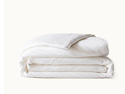 Luxury Silk Duvet For Twin Bed All Season Comforter