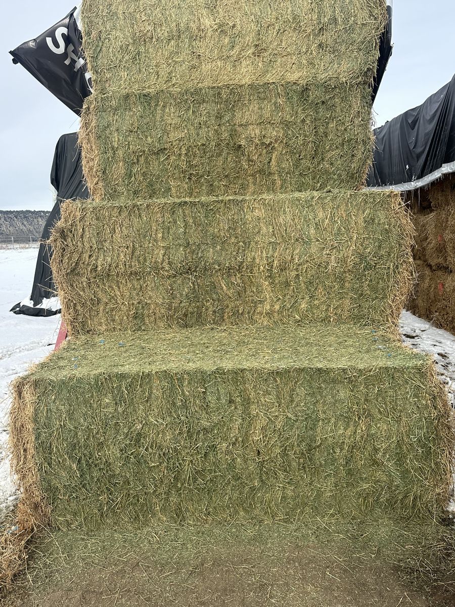 Livestock Hay