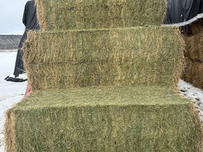 Livestock Hay