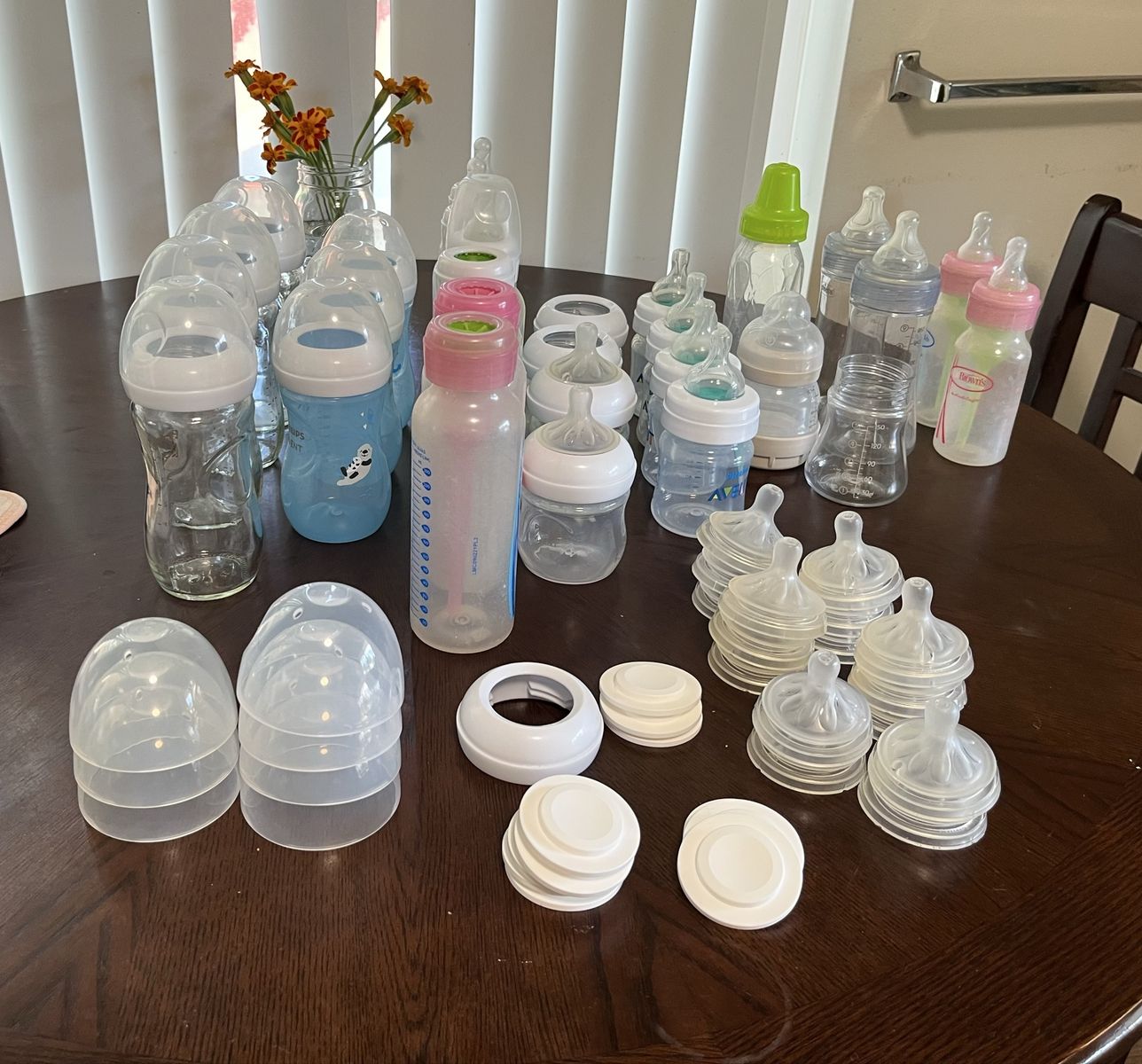 Assorted Glass and Plastic Baby Bottles: anti-colic, Philips Avent, Mam, Dr. Browns, Chicco