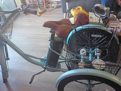 Adult electric bikes
