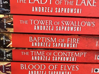 The Witcher book set (7 books) - great condition!
