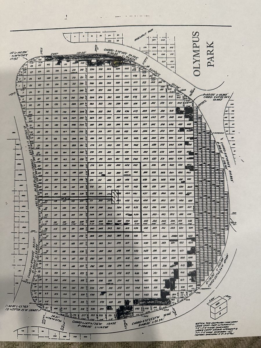 Main image 5