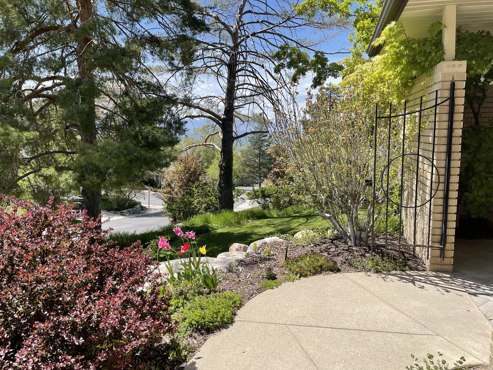 Seeking Roommate for Nice East Millcreek 4BR 2.5BA Home