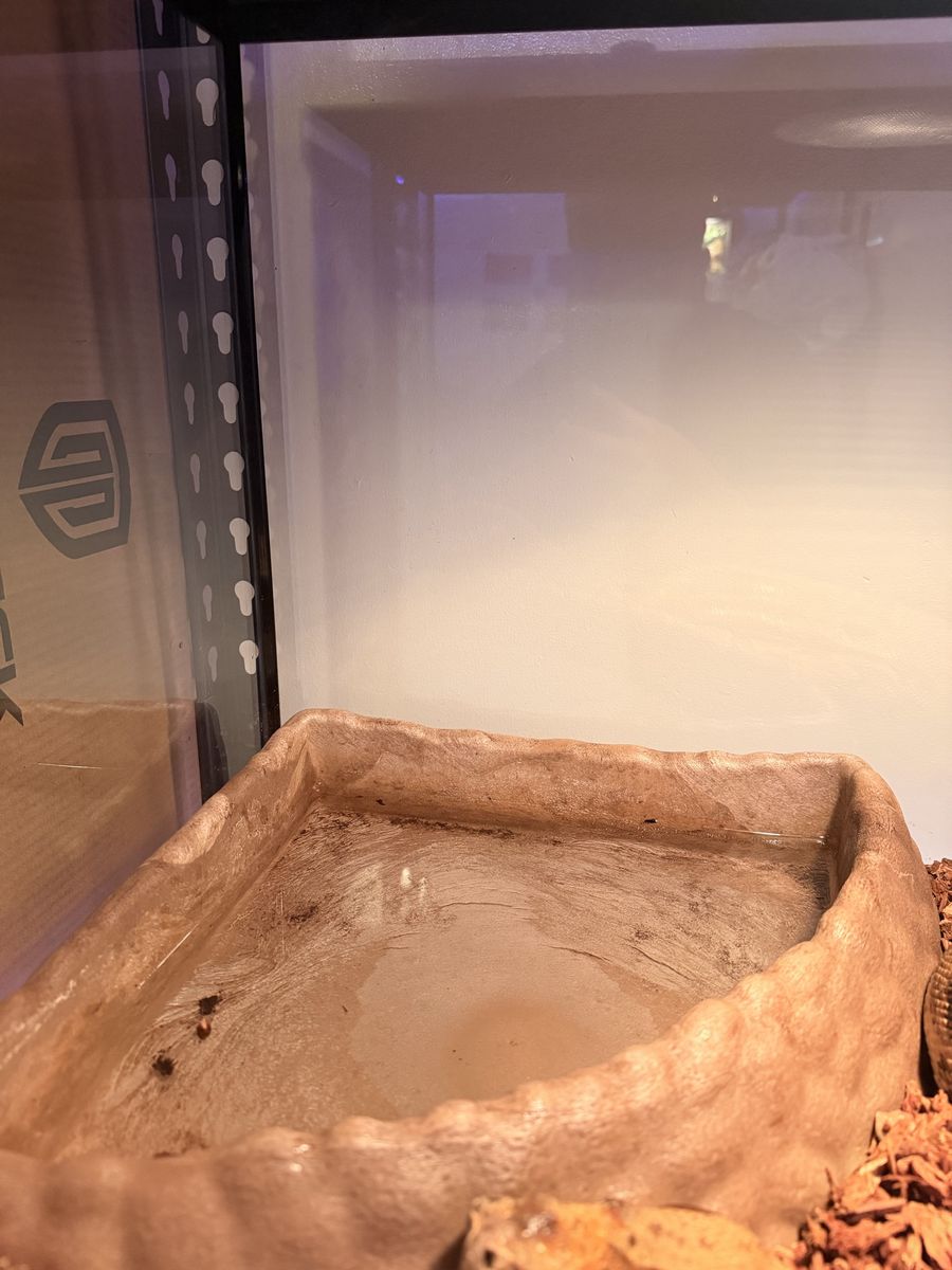 Main image 5