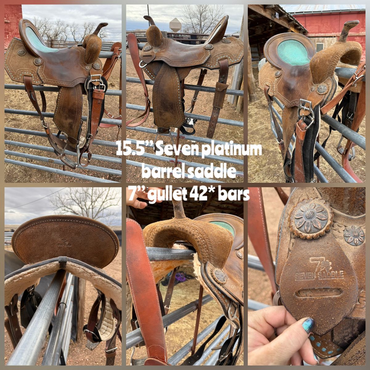 15.5” seven saddle