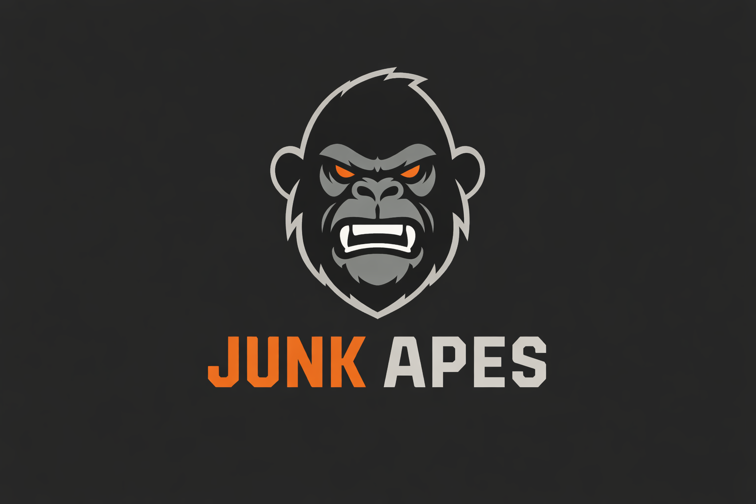 Junk Removal / Waste Removal