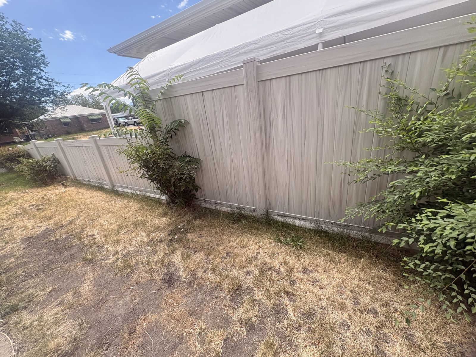 Main image 7