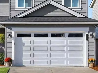 Garage door 16x8 and other sizes