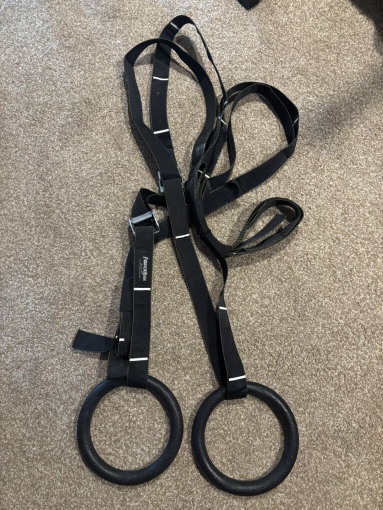 Heavy Duty Gymnastics Rings