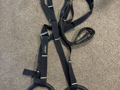 Heavy Duty Gymnastics Rings