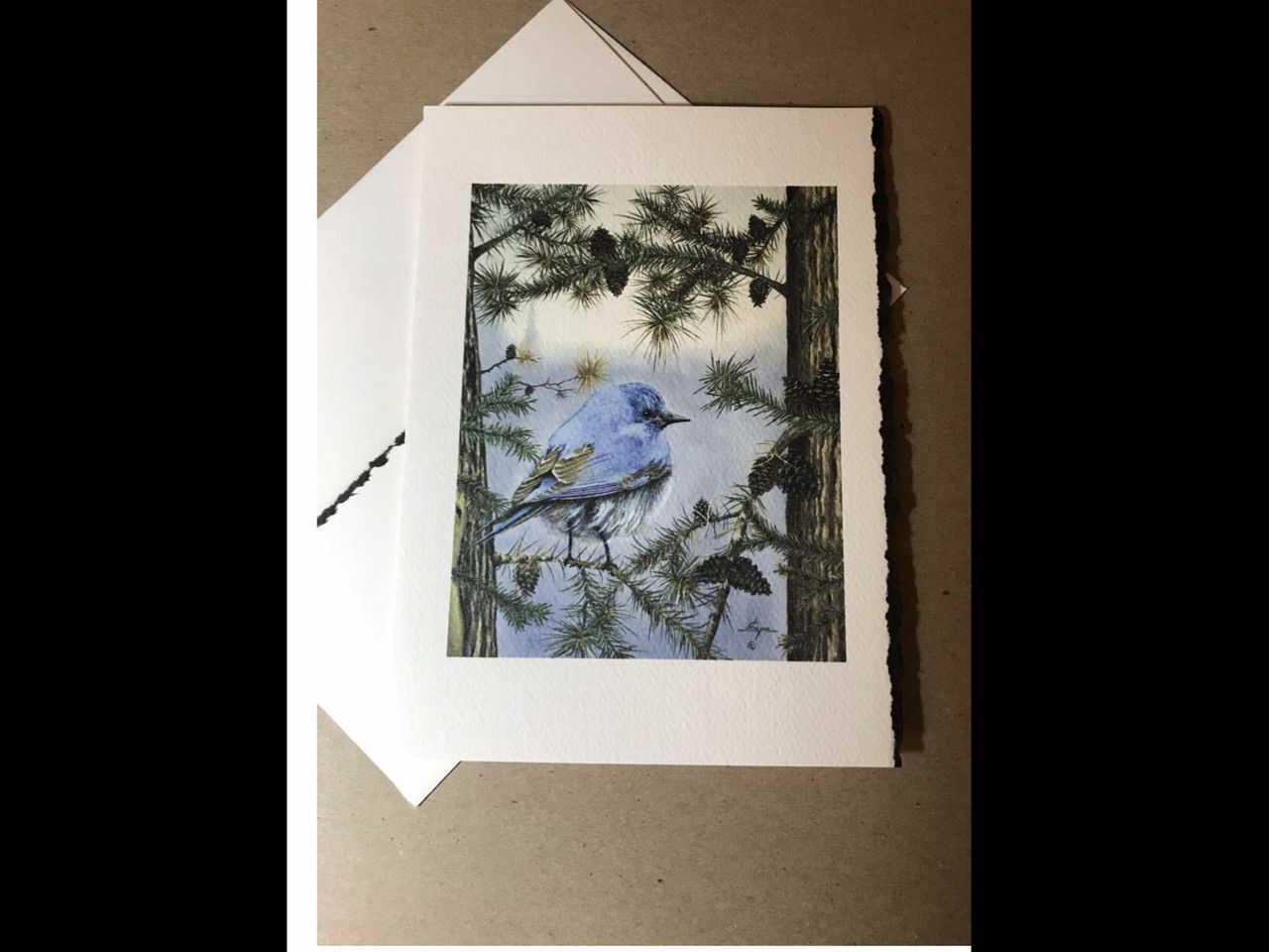Main image 4