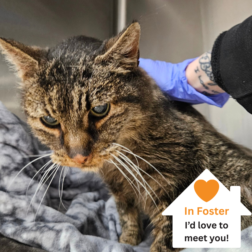 Hello my name is Hubert