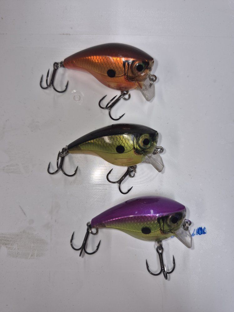 rapala fishing lures