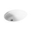 Kohler 19-1/4" Oval Undermount Bathroom Sink (White), K-2210-N-0