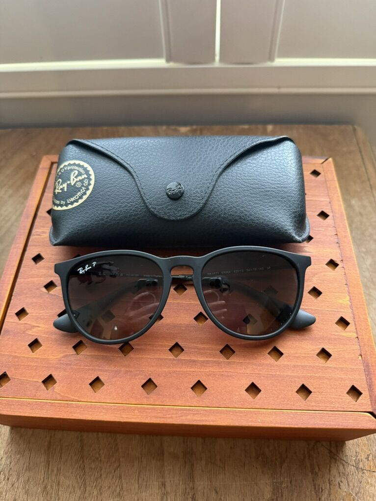 Ray Ban Erika Sunglasses
