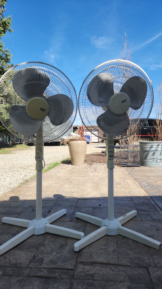 16" fans