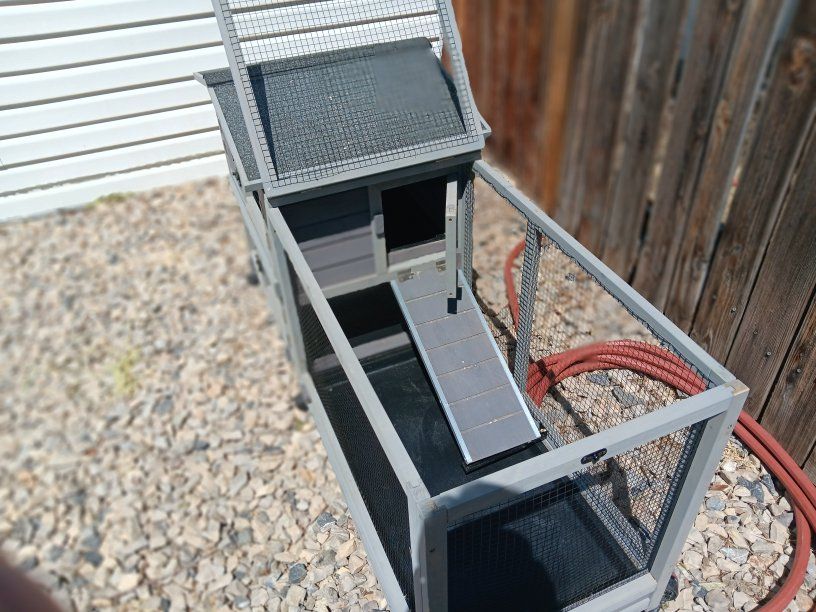Main image 6