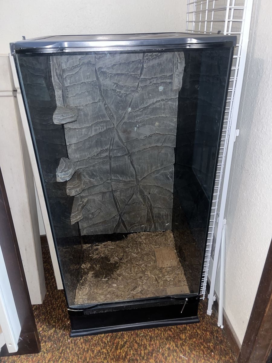 Glass Terrarium