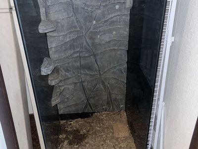 Glass Terrarium
