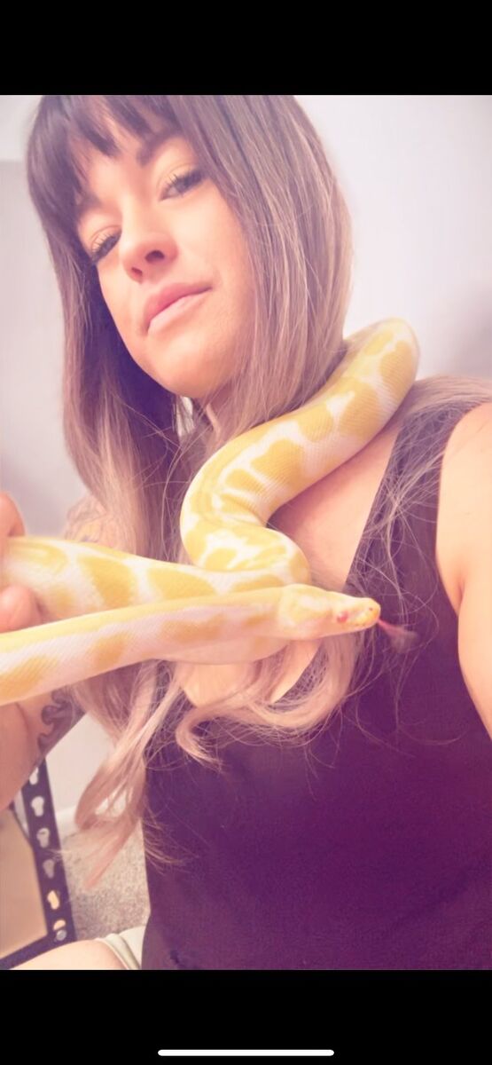 Albino Banana BallPython