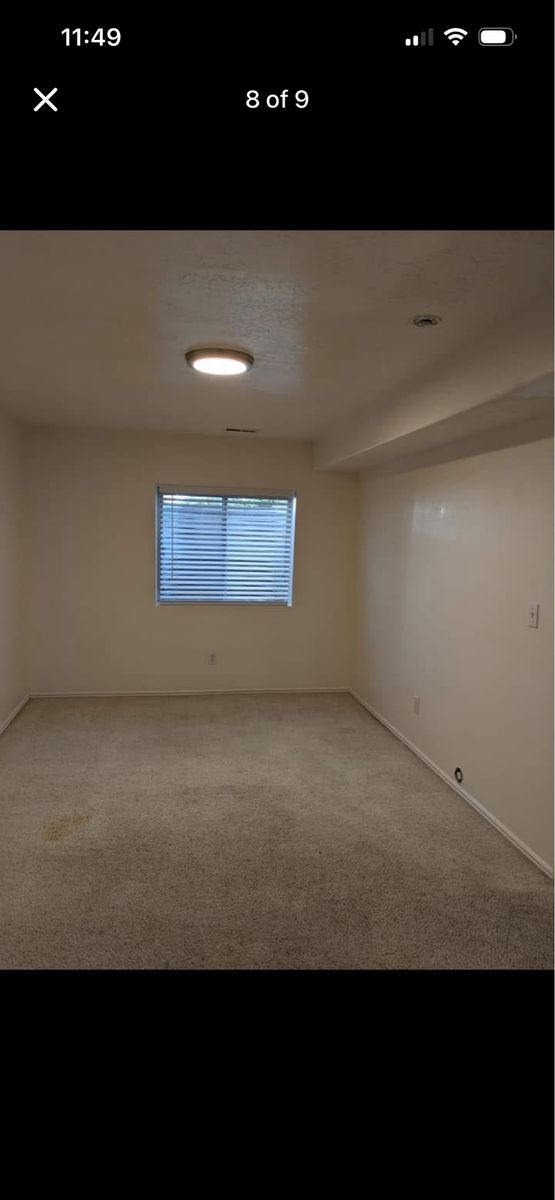 Main image 7