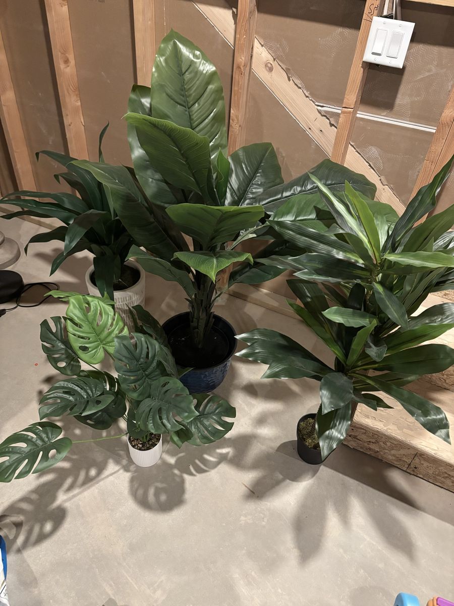 Assorted Artificial Plants - Large Floor & Tabletop Faux Foliage Decor