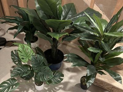 Assorted Artificial Plants - Large Floor & Tabletop Faux Foliage Decor
