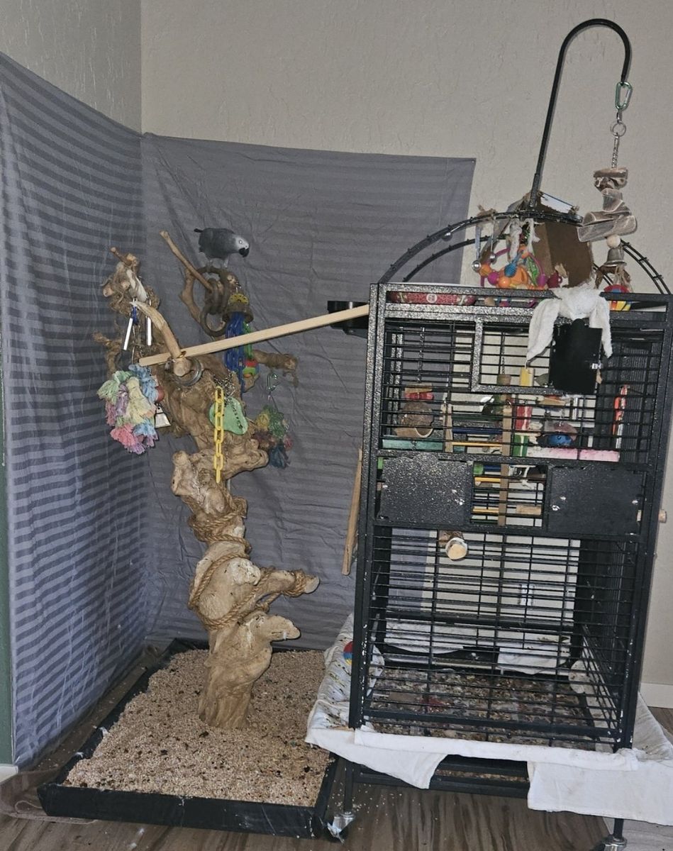 Main image 3