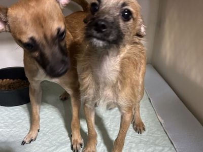 Dunn – Bonded with Brooks