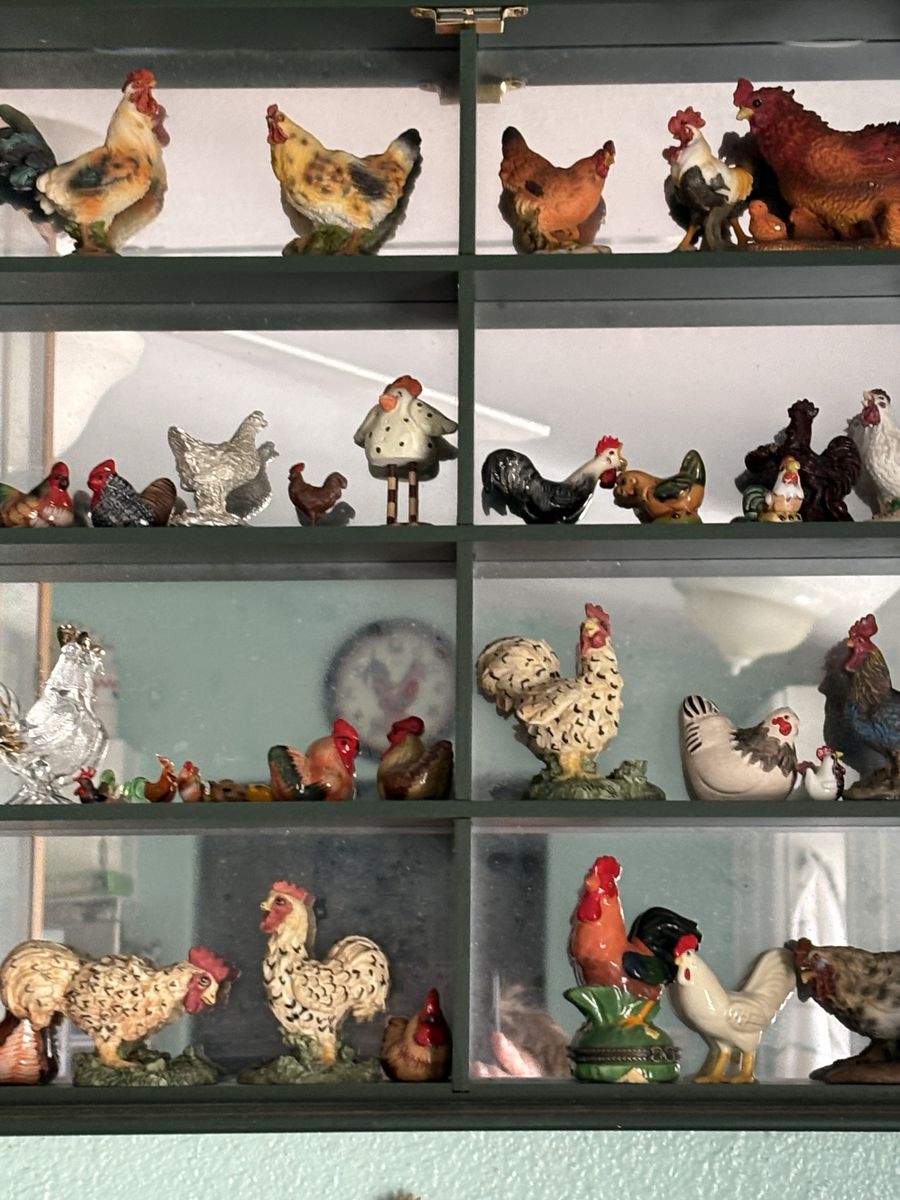 Chicken collection
