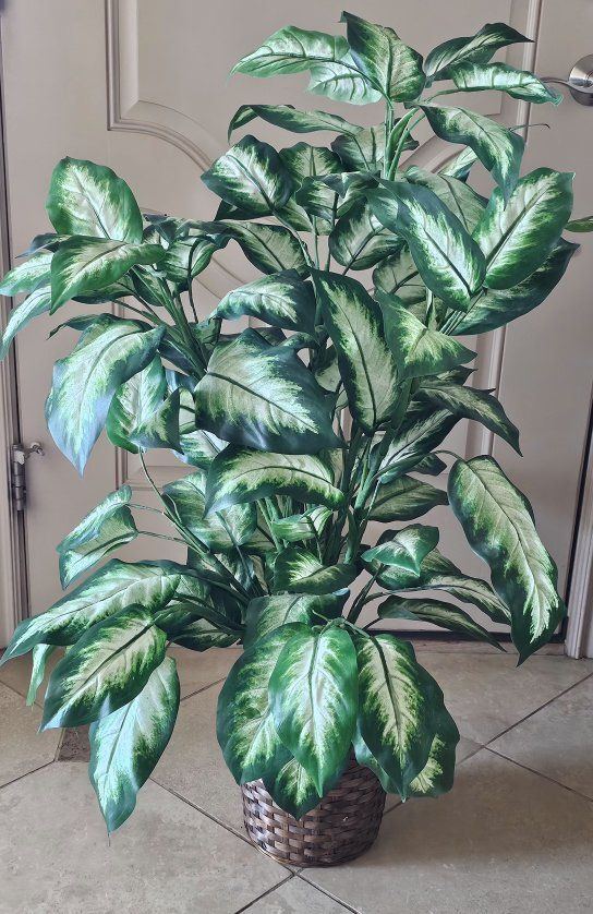 Artificial Potted Plant Silk Dieffenbachia Faux Floor Plant in Woven Basket 45"Tx27"W