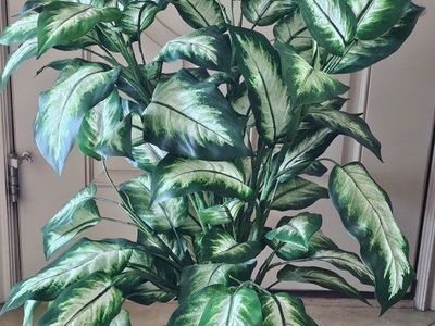 Artificial Potted Plant Silk Dieffenbachia Faux Floor Plant in Woven Basket 45"Tx27"W