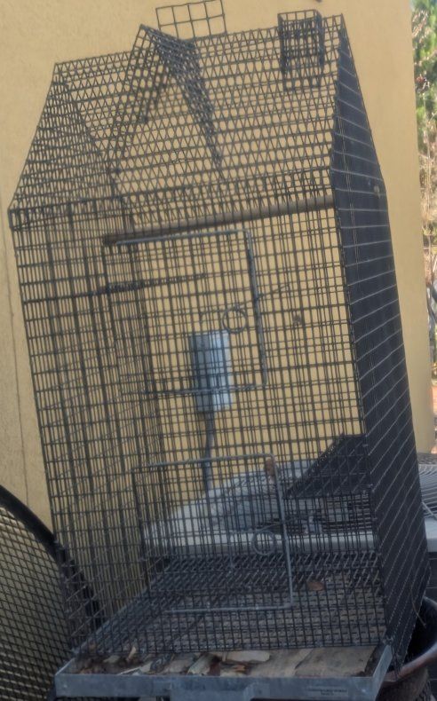 Bird Cage