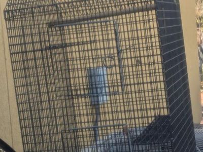 Bird Cage