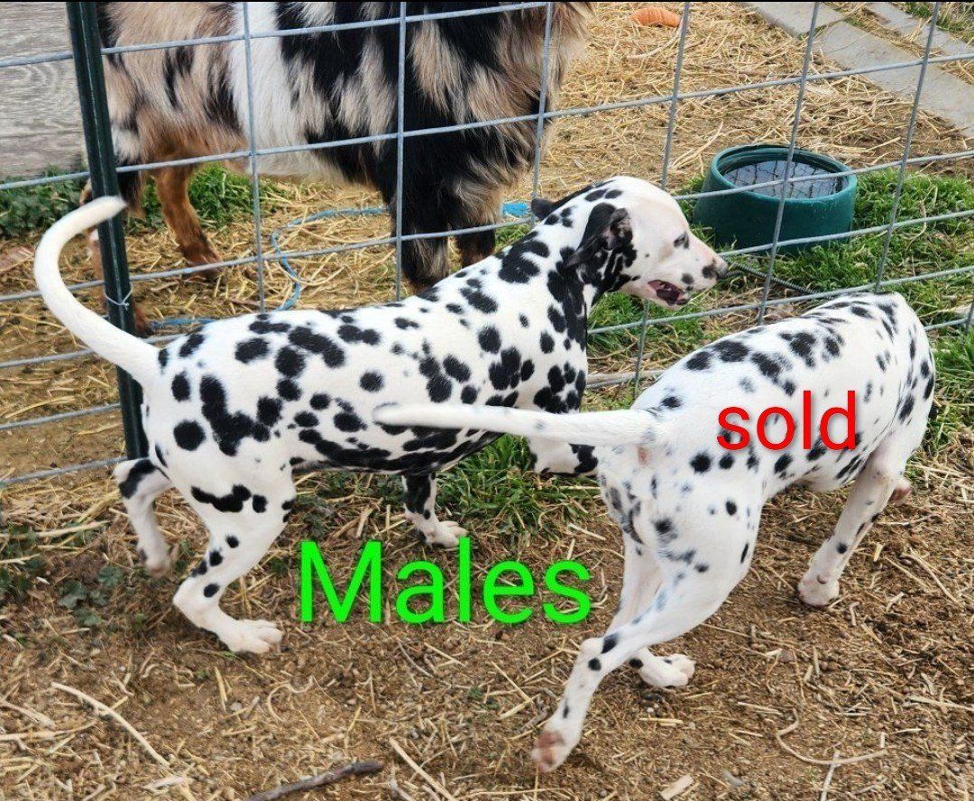 Main image 4