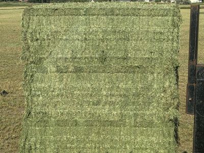 2nd and 3rd crop hay 3x4