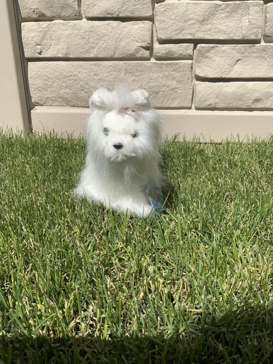 Webkinz yorkie mini