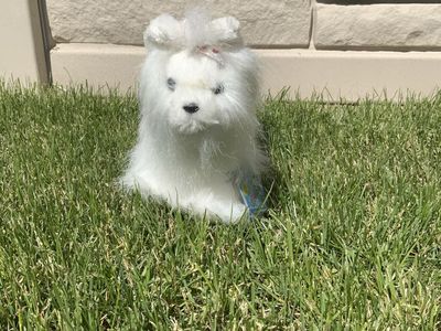 Webkinz yorkie mini
