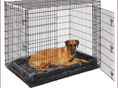 Mid-West Metal 54-ft L x 37-ft W Dog Crate