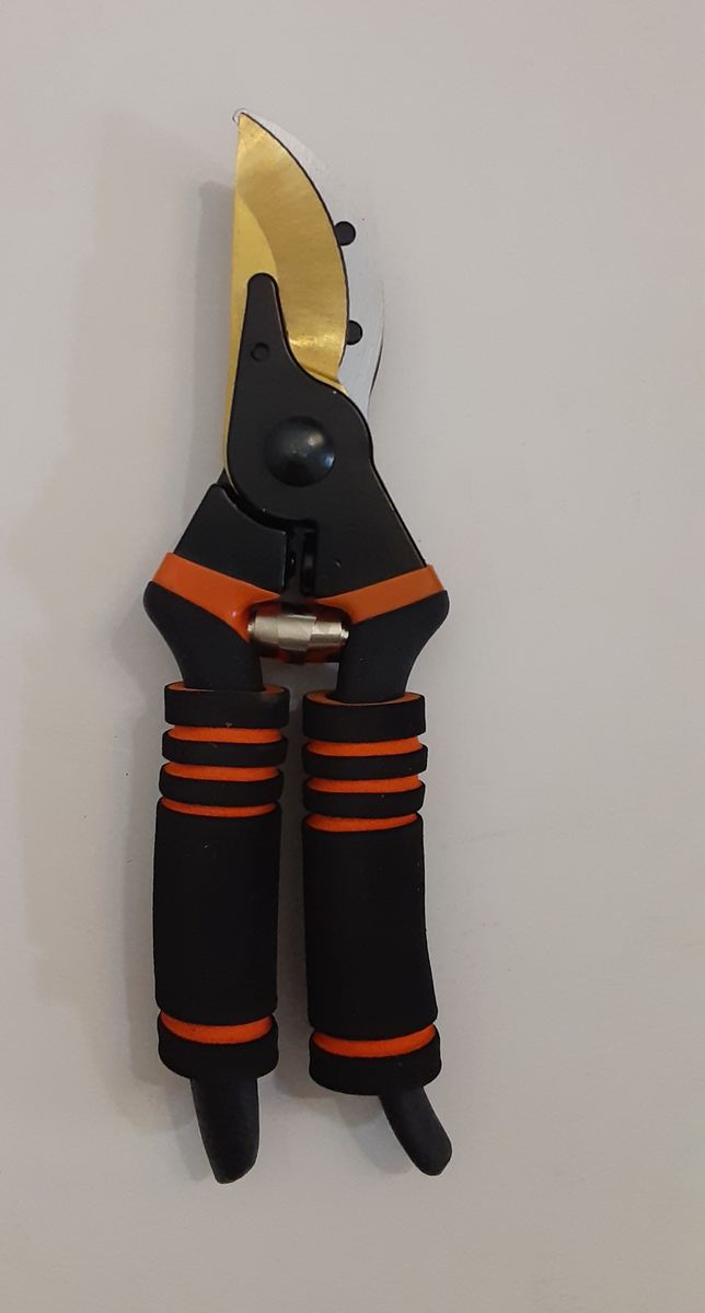 Main image 4