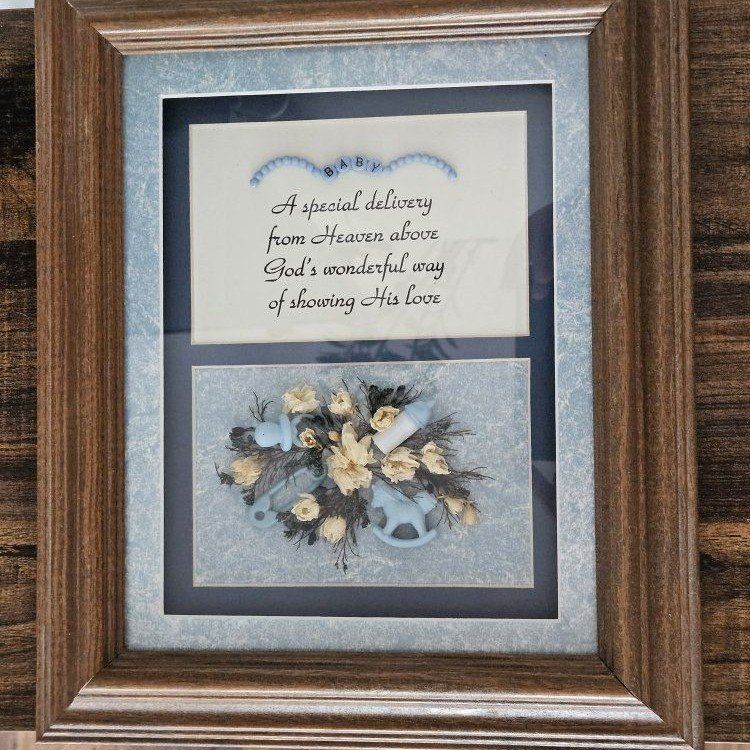 Baby Boy "A Special Delivery" Framed Wall Art Decor, Floral/Baby Shower Theme