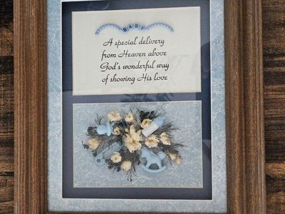 Baby Boy "A Special Delivery" Framed Wall Art Decor, Floral/Baby Shower Theme