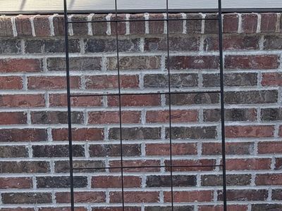 Metal Trellis