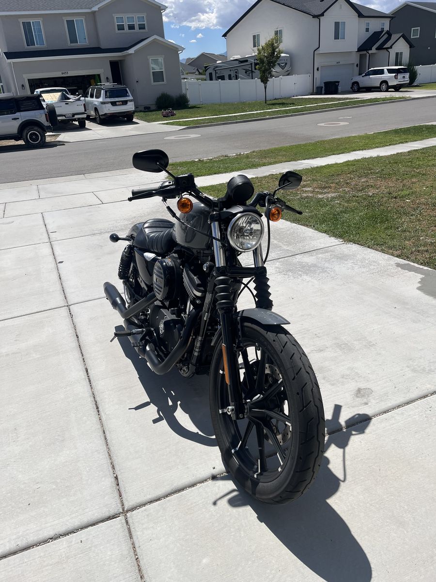 2022 Harley Davidson Iron 883