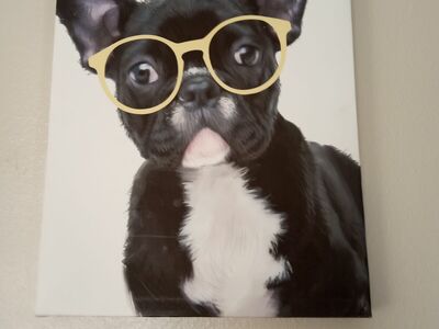 French bulldog canvas wall art