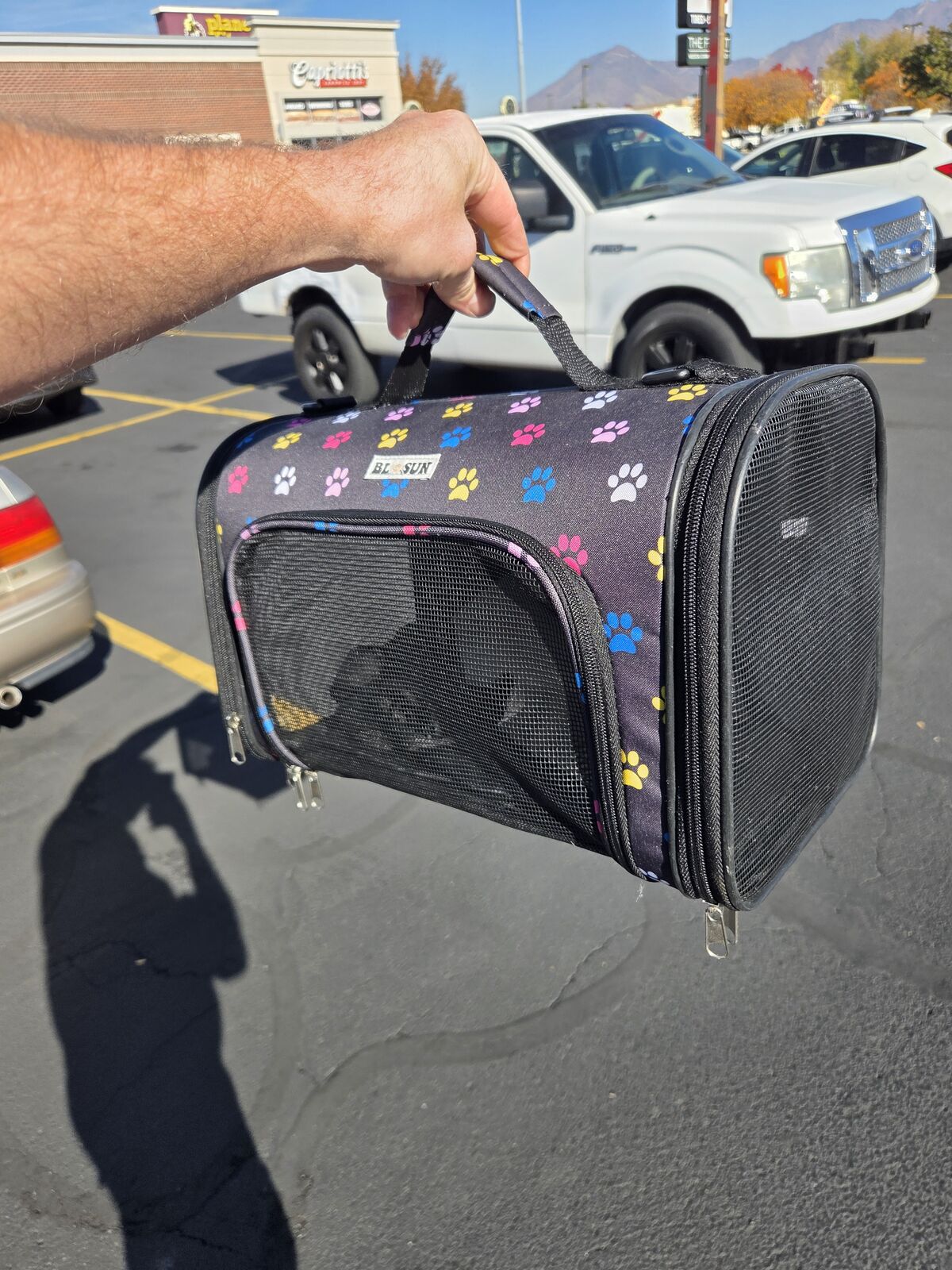 Animal travel carriers and play pens, litter box OPEN TO CASH OFFERS FOR EACH