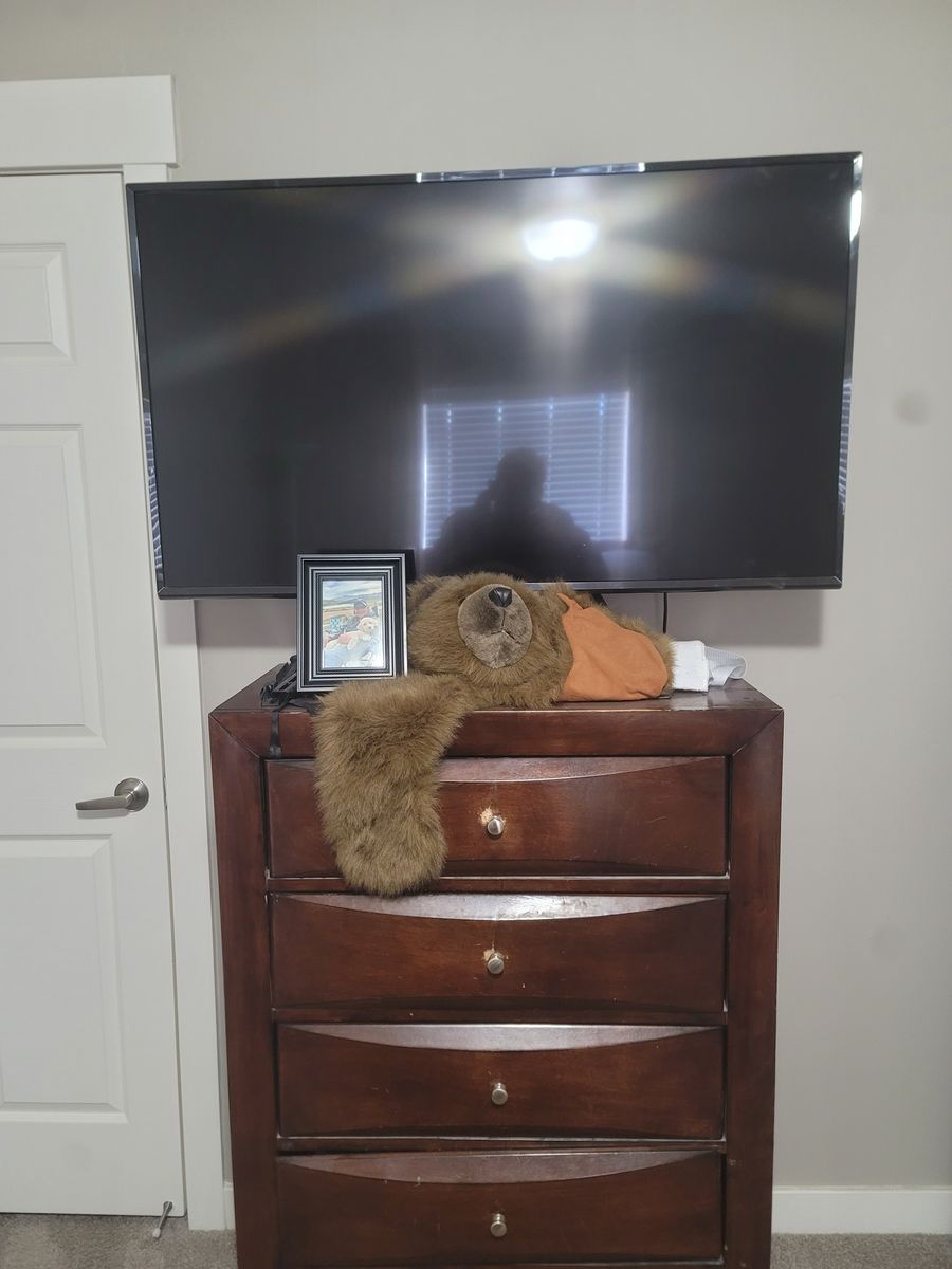 49 inch LG flat screen TV